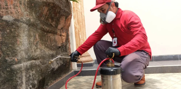 Jasa Anti Rayap Profesional: Perlindungan Maksimal untuk Rumah dan Bangunan Anda